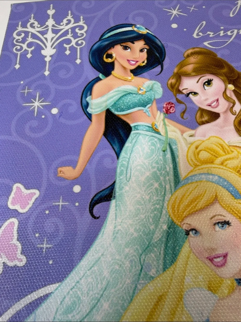 Disney Princess Wall Canvas – Jasmine Belle Cinderella – Pure of Heart Bright of
